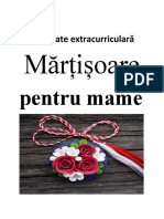 Activitate Extracurriculară