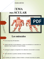 Sistema Musc