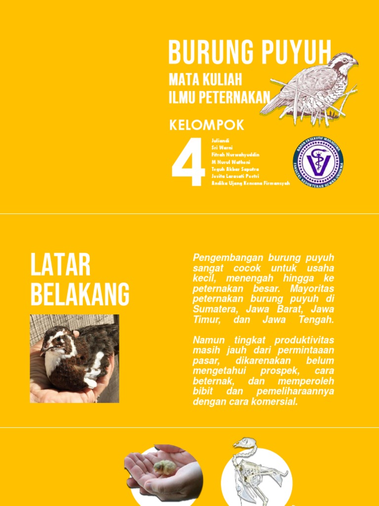 Burung Puyuh | PDF