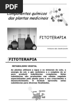 (Componentes_qu_micos_das_plantas_medicinais)