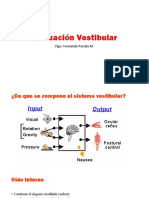 09 Evaluación Vestibular