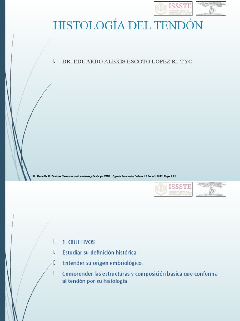 Histologia Tendon | PDF | Tendón | Anatomía