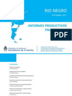 Informe Productivo Rionegro