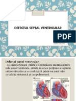 Defectul Septal Ventricular