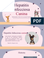 Hepatitis Infecciosa Canina