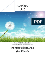 Padrinho Ze Ricardo - Luz - Grafica
