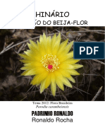 Padrinho Ronaldo - Cancao Do Beija-Flor - Grafica