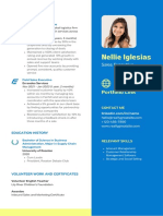 Blue Bright Yellow Color Blocks Salesperson CV