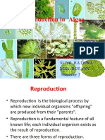 Reproductioninalgae 150809204611 Lva1 App6892