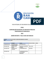 Irma Plan Integral de Seguridad.