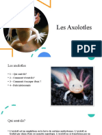 Les Axolotles (Автосохраненный)