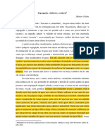 Segregação Violência e Errância