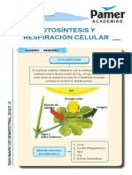 BIO - Sem5 - Fotosíntesis y Respiración Celular