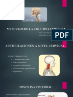 Musculos Columna Cervical KL
