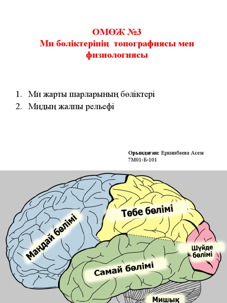 Бір жігіт айқайлады: «Қонақ үйдегі порнода жетілген әйелді сиқырлау»