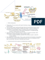 Chapter 10 Peripheral Somatosensory Objectives