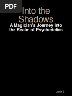 Into The Shadows - A Magician's Journey - Justin B