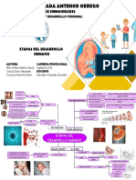 Etapas Del Desarrollo Humano