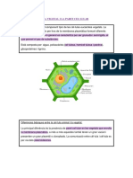 Fisiologia Primer Examen