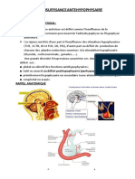 Insuffisance Antéhypophysaire