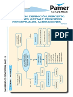 Psico Sem5 Percepción