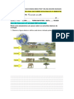 Exercício Sobre Ecologia Ead 2º Bimestre Do 2º Ano