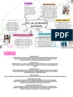 TIPOS DE SOCIEDADES MILALY ARRATA-comprimido