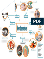 Neurotransmisores