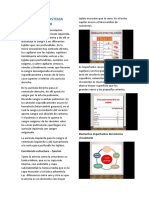 Fisiología Del Sistema Cardiovascular