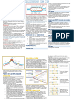 La Replicación Del ADN