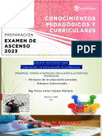 30 - 01 L GRUPO DOCENTE PERÚ L CONOCIMIENTOS PEDAGÓGICOS Y CURRICULARES