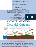 Ciclo Del Oxigeno