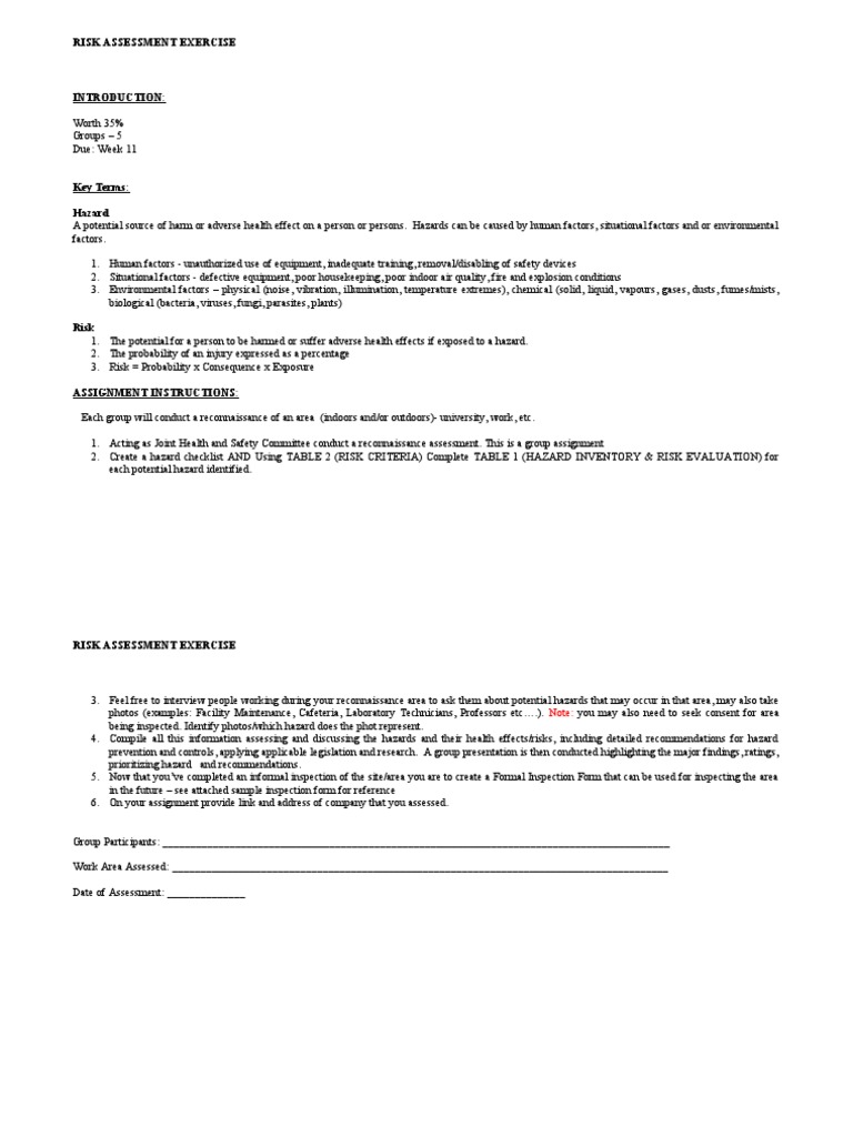 Risk Assessment Project - Due Week 11 | PDF
