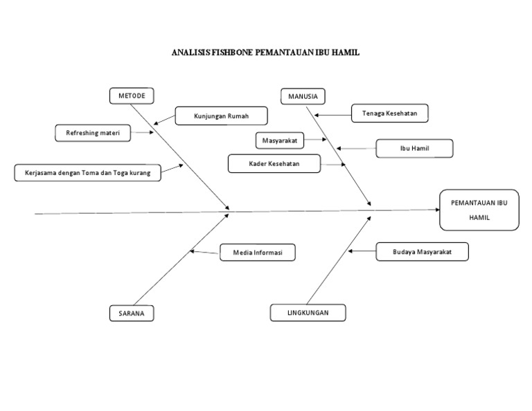 Analisis Fishbone Pemantauan Ibu Hamil | PDF