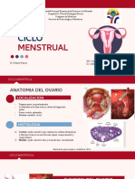 Ciclo Menstrual