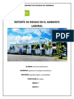 Reporte de Riesgo en El Ambiente Laboral