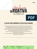 Fosforilación: Oxidativa