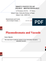 Plasmodesmata and Vacuole