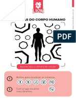 Cards Corpohumano v4