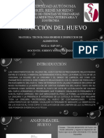 Inspección Del Huevo