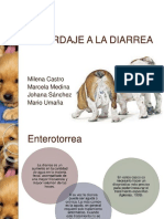pdf-aproximacion-a-la-diarrea_compress