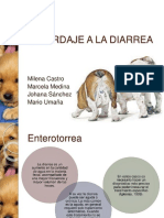 PDF Aproximacion A La Diarrea - Compress