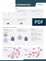 Infographics III Blood Smear 27 07 2020