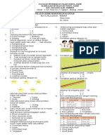 Pas (2) KLS 1 Tema 8