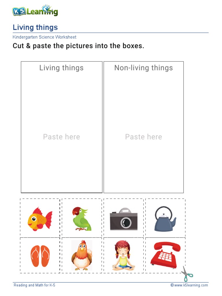 Exercise LivThing 4 | PDF | Home & Garden | Wellness