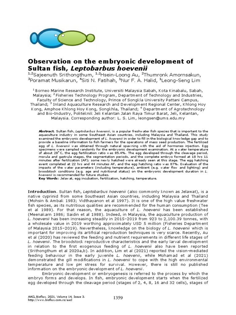 observation-on-the-embryonic-development-of-hoeven-carp-pdf-embryo