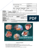 Guia Organos de Los Sentidos Version 5.0 Marzo 2022