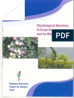 physiological-disorders-in-grapevine
