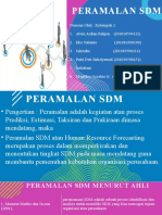 Peramalan SDM Kelompok 2 New