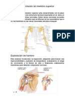 Exploración de Miembro Superior